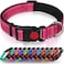 Taglory Reflective Nylon Dog Collar With Safety Buckle, Adjustable Pet Collars With Soft Neoprene Padding For Medium Dogs, Hot Pink