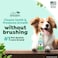 Tropiclean Fresh Breath No Brushing Clean Teeth Dental &amp; Oral Care Gel For Dogs, 4Oz, Made In Usa