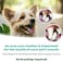 Tropiclean Fresh Breath No Brushing Clean Teeth Dental &amp; Oral Care Gel For Dogs, 4Oz, Made In Usa