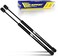Tuff Support 2 Pieces (Set) Front Hood Lift Struts 2011 To 2018 Chrysler 300, 2011 To 2018 Dodge Charger, 2011 To 2016 Lancia Therma