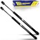 Tuff Support 2 Pieces (Set) Front Hood Lift Struts 2011 To 2018 Chrysler 300, 2011 To 2018 Dodge Charger, 2011 To 2016 Lancia Therma