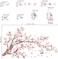 Wondever Cherry Blossom Flowers Wall Stickers Pink Magnolia Floral Tree Branch Birds Peel And Stick Wall Art Decals For Living Room Bedroom Tv Wall
