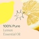 Plant Therapy Essential Oil - Lemon For Unisex - 1 Oz Essential Oil
