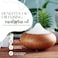 Eucalyptus Globulus Essential Oil -16 Fl Oz (473 ml) Aluminum Bottle W/Plug Cap 100% Pure Essential Oil