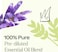 Plant Therapy Germ Destroyer Synergy Essential Oil, Guard From Illness, Support Blend For Kids  .