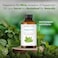 Majestic Pure Peppermint Essential Oil, 118 ml, 100% Pure And Natural Peppermint Oil, Premium Grade Essential Oils For Hair Care, Home Diffusers, Skin, Aromatherapy, Massage And Humidifiers