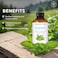 Majestic Pure Peppermint Essential Oil, 118 ml, 100% Pure And Natural Peppermint Oil, Premium Grade Essential Oils For Hair Care, Home Diffusers, Skin, Aromatherapy, Massage And Humidifiers