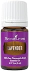 Young Living Lavender 5ml Essential Oils Essential Oils