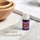 Young Living Lavender 5ml Essential Oils Essential Oils