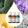 Plant Therapy Kidsafe Feelin' Good Essential Oil Blend Set, Includes: Germ Destroyer, Immune Boom, Sniffle Stopper 100% Pure, Undiluted, Natural Aromatherapy 10 ml (1/3 Oz)