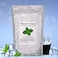 Plant Guru Menthol Crystals 1 Lb. Bulk Mentha Arvensis 100% Pure Natural Usp Food Grade - Great For Cosmetics, Salves, Balms, Creams And Soap Making.