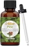 Pine Essential Oil (100% Pure &amp; Natural - Undiluted) Therapeutic Grade - Huge 1Oz.