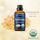 Organic Frankincense Essential Oil 30 ml - Boswellia Serrata - Natural, Pure Frankincense Oil For Diffuser, Aromatherapy - Therapeutic Grade - Skin Use And Hair Care Benefits