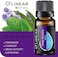 مجموعة O'Linear Top 6 مزيج من الزيوت العطرية الناشرة للعلاج العطري للنوم، والمزاج، والتنفس، وتخفيف العضلات، والإغراء، والشعور بالرضا، وتخفيف القلق
