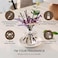 Cocod'Or Lavender Reed Diffuser/Garden Lavender / 6.7 أوقية (200 مل) / 1 حزمة / ديكور المنزل وديكور المكتب والعطور والهدايا