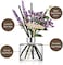 Cocod'Or Lavender Reed Diffuser/Garden Lavender / 6.7 أوقية (200 مل) / 1 حزمة / ديكور المنزل وديكور المكتب والعطور والهدايا