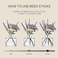 Cocod'Or Lavender Reed Diffuser/Garden Lavender / 6.7 أوقية (200 مل) / 1 حزمة / ديكور المنزل وديكور المكتب والعطور والهدايا