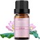 زيت بوريبوري لوتس العطري 100% زيوت عطرية عطرية عضوية نقية وغير مخففة وطبيعية وعضوية 10 مل