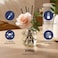 396 St. Rose Flower Reed Diffuser, Black Cherry, 200ml(6.7Oz) / Reed Diffuser Sets, Scentsy Home Fragrance, Scented Oils, Home &amp; Bathroom D&eacute;cor