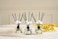 Culture &amp; Nature Reed Diffuser Set 6.7Oz (200ml) Clean Cotton Scented Diffuser With Sticks Home Fragrance Reed Diffuser For Bathroom Shelf Decor