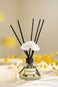 Culture &amp; Nature Reed Diffuser Set 6.7Oz (200ml) French Lavender Scented Diffuser With Sticks Home Fragrance Reed Diffuser For Bathroom Shelf Decor