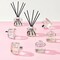 Cocod&#39;Or Signature Reed Diffuser/Lemon Eucalyptus/6.7Oz(200ml)/2 Pack/Reed Diffuser, Reed Diffuser Set, Oil Diffuser &amp; Reed Diffuser Sticks, Home Decor &amp; Office Decor, Fragrance And Gifts