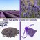 24 Pack Moth Repellent For Closet Lavender Sachet Bags, Cedar Blocks For Clothes Storage, Cedar Lavender Bags Sachets For Drawers And Closets, Protect Clothing Drawer Freshener