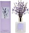 Cocorr&iacute;na Premium Reed Diffuser Set With Preserved Baby's Breath &amp; Cotton Stick Lavender Thyme, 6.7Oz Scent Fragrance Lavender Oil Diffuser For Bedroom Bathroom Home D&eacute;cor
