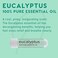 Moxē Eucalyptus Essential Oil Nasal Inhaler, Sinus &amp; Congestion Relief, Daily Relaxation, Stress Relief, Therapeutic No-Mess Aromatherapy, Pure And Natural, Made In USA (3 Pack)