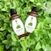 Sva Organics Oregano Oil Usda Certified (30 ml)- 100% Pure &amp; Natural, Steam Distilled, For.