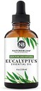 زيت الأوكالبتوس العطري النقي 100% من ناتوروبليس (4 أونصة) علاج عطري ممتاز من الدرجة العلاجية