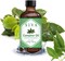 Siva Organics Camphor Essential Oil - 4 Fl Oz &ndash; Natural Camphor Oil - For Diffuser, Face, Skin Care, Aromatherapy, Hair Care, Scalp And Body Massage - With Dropper