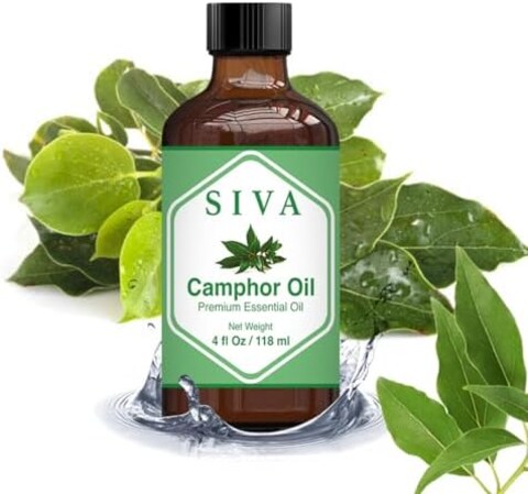 Siva Organics Camphor Essential Oil - 4 Fl Oz &ndash; Natural Camphor Oil - For Diffuser, Face, Skin Care, Aromatherapy, Hair Care, Scalp And Body Massage - With Dropper