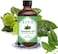 Siva Organics Camphor Essential Oil - 4 Fl Oz &ndash; Natural Camphor Oil - For Diffuser, Face, Skin Care, Aromatherapy, Hair Care, Scalp And Body Massage - With Dropper