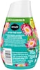 Renuzit Adjustable Air Freshener Gel, After The Rain, 7 Ounces (6 Count)