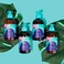 As I Am Born Curly Curl Defining Jelly 240 مل/8 أونصة (للأطفال)، كريم، (عبوة من قطعة واحدة)