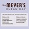 Mrs. Meyer's Clean Day Liquid Laundry Detergent, Biodegradable Formula Infused With Essential Oils, Lavender, 64 Oz (64 Loads)