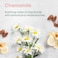Attitude Laundry Detergent - Natural - 35 Loads-1.05L-Extra Gentle- Soothing Chamomile-Camomile Apaisante