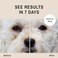 Eye Envy Dog Tear Stain Remover Starter Kit With Propowder Brush, Stain Solution, Applicator Pads, Stain Powder And Large Applicator Brush, Lasts 30-45 Days