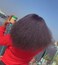 Coconut Oil And Shea Butter Natural Hair Food Made With Organic Ingredients. Nourish And Moisturize Hair For Growth, Softness, Shine, Manageability And Protect Against Hair Damage.