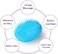 4Pack Hair Scalp Exfoliator Brush Dandruff Cleaning Brush, Flexible Scalp Massager Brush, Shower Scalp Shampoo Brush For Home, Office, Travel And Pets(Flexible Blue/Pink/Orange/Green)