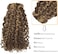 Clip In Human Hair Extensions Afro Jerry Curly 3B 3C Real Hair Clip In Extensions For Black Women Natural Black Color 100% Brazilian African American Hair Extensions (20 Inch, Jerry Curly #P4/27)