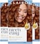 Clairol Nice'N Easy Permanent Hair Color, 6R Light Auburn, 3 Count