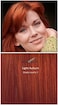 Touchback Pro Gray Root Touch Up Marker Applicator - Real Hair Color Light Auburn