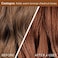 Madison Reed Color Therapy, Castagna - Depositing Hair Mask &amp; Deep Conditioning Treatment, Intensely Hydrating, Refreshes Tone, Keratin &amp; Argan Oil, 4 Fl Oz (118 ml)