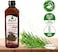 Pure &amp; Natural Cyperus Oil Saad Cold Pressed Al Hawaj Elhawag El Hawag Concentrated Crude Perfect Hair &amp; Skin (1 Pack = 17.64 Oz / 500 ml)