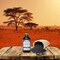 Shea Terra Organics Egyptian Black Seed Cold Pressed Extra Virgin Oil, All Natural &amp; Oil To Boost Immune System, Improve Hair Growth &amp; Skin Tone, Manage Dry Skin, &amp; More - 8 Oz