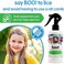 Twin Pack Boo! Spray For Kids Hair - With Tea Tree, Rosemary And Peppermint Oils - 8 Fluid Ounces - No Parabens, Sulfates, Synthetic Colors Or Dyes