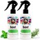 Twin Pack Boo! Spray For Kids Hair - With Tea Tree, Rosemary And Peppermint Oils - 8 Fluid Ounces - No Parabens, Sulfates, Synthetic Colors Or Dyes