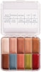 Ppi Skin Illustrator On Set Flesh Tone Makeup Palette